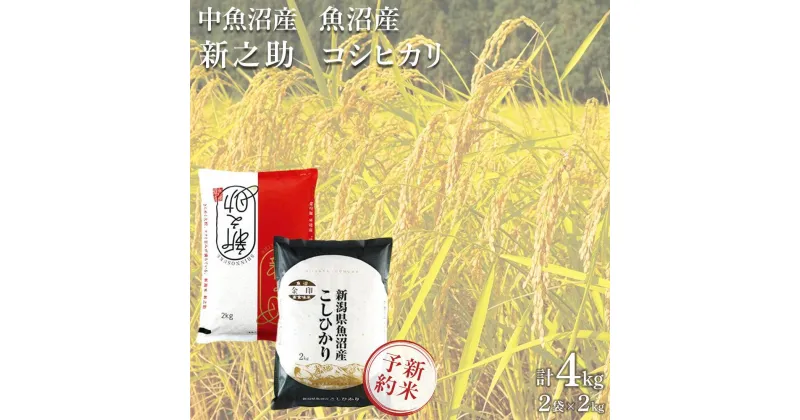 【ふるさと納税】＜令和6年産新米予約＞中魚沼産「新之助」2kg ＋ 魚沼産コシヒカリ「金印」2kg 食べ比べセット | お米 こめ 白米 食品 人気 おすすめ 送料無料