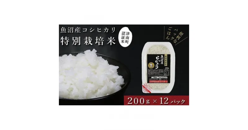 【ふるさと納税】【パックご飯】魚沼産コシヒカリ「特別栽培米」200g×12袋 パックライス（令和6年産） | お米 こめ 白米 食品 人気 おすすめ 送料無料