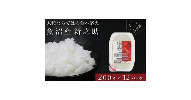 【ふるさと納税】【パックご飯】魚沼産新之助 200g×12袋 パックライス（令和6年産） | お米 こめ 白米 食品 人気 おすすめ 送料無料