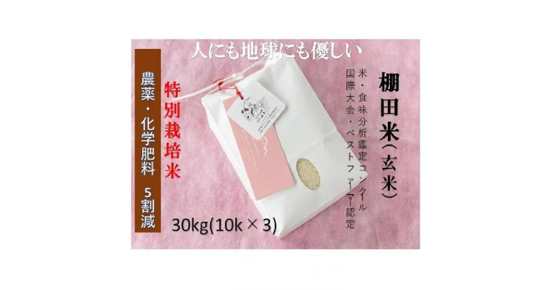 【ふるさと納税】魚沼産コシヒカリ　苗場プリンセス　特別栽培米　農薬化学肥料5割減　玄米30kg（10kg×3） | お米 こめ 食品 人気 おすすめ 送料無料