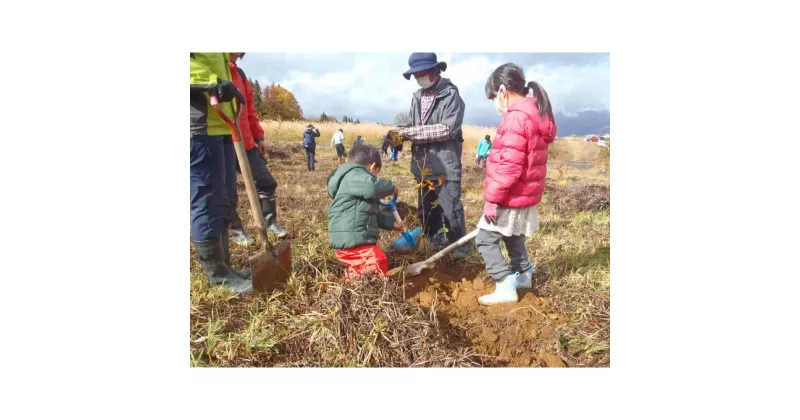 【ふるさと納税】【津南町森林組合】まる1日津南体験（広葉樹植栽体験と秋野菜収穫体験）1名様 | 券 金券 人気 おすすめ 送料無料