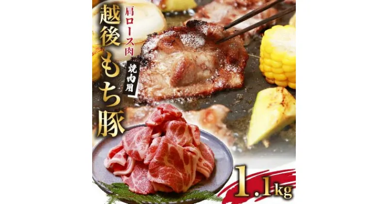 【ふるさと納税】越後もち豚肩ロース肉(焼肉用)1.1kg【配送不可地域：離島】【1117862】