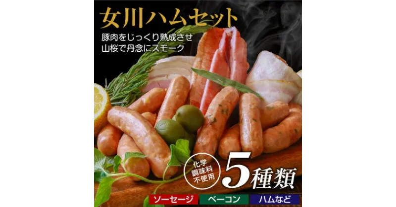 【ふるさと納税】女川ハムセット_ ハム ベーコン ソーセージ ウインナー 干し肉 セット 食べ比べ 詰合せ 5種類 女川 スモーク 国産 産地直送 おかず おつまみ 新潟 贈答 ギフト 冷蔵 女川 【配送不可地域：離島】【1085603】