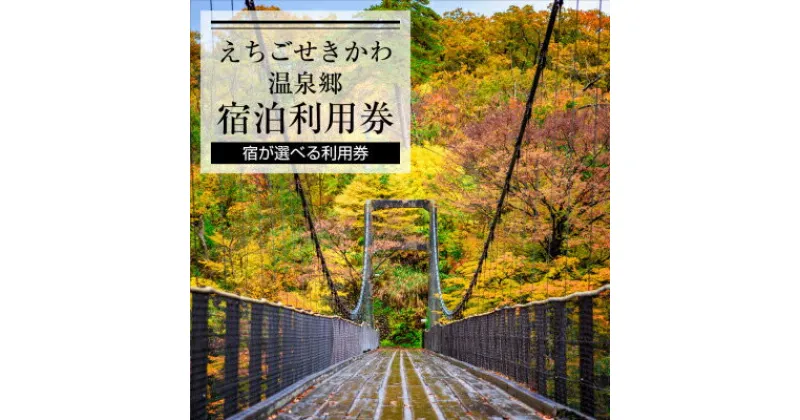 【ふるさと納税】えちごせきかわ温泉郷宿泊利用券(6,000円分)【1278598】