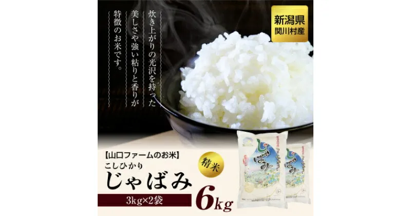 【ふるさと納税】山口ファームのお米 こしひかり精米6kg(3kg×2袋)「じゃばみ」_ 米 こめ コメ おこめ 精米 精白米 こしひかり お米 国産 新潟県 産地直送 ブランド米 贈答 ギフト 白米 ごはん 白飯 2袋 じゃばみ 3kg 人気 おすすめ 銘柄 【1344366】