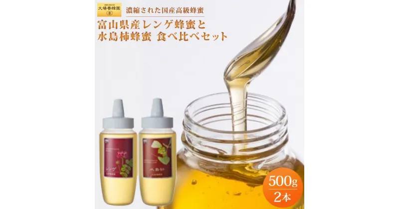 【ふるさと納税】【国産高級蜂蜜】富山県産レンゲ蜂蜜×1本　水島柿蜂蜜500g×1本　セット | 富山県 富山市 富山 北陸 ふるさと 納税 返礼品 支援品 お土産 お取り寄せ ご当地 蜂蜜 はちみつ ハチミツ 特産品 名産品 詰め合わせ れんげはちみつ ハニー 国産 れんげ 食べ比べ