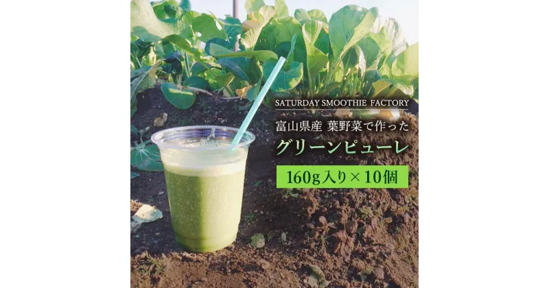 【ふるさと納税】【富山県産】葉野菜で作ったグリーンピューレ | ふるさと 納税 支援品 富山県 富山市 富山 返礼品 ぴゅーれ ピューレ スムージー グリーンスムージー 野菜 やさい ギフト お取り寄せ 野菜スムージー 健康 ドリンク 飲み物 野菜ジュース 栄養 ベジタブル