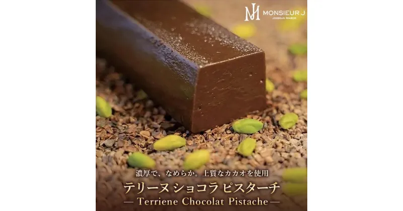 【ふるさと納税】究極のデザートチョコレート【テリーヌショコラピスターチ】 | 富山 ふるさと 納税 支援 支援品 返礼品 返礼 特産品 名産 特産 名産品 お取り寄せスイーツ スウィーツ ショコラテリーヌ ショコラ チョコ テリーヌ ピスタチオチョコレート ピスタチオ ギフト