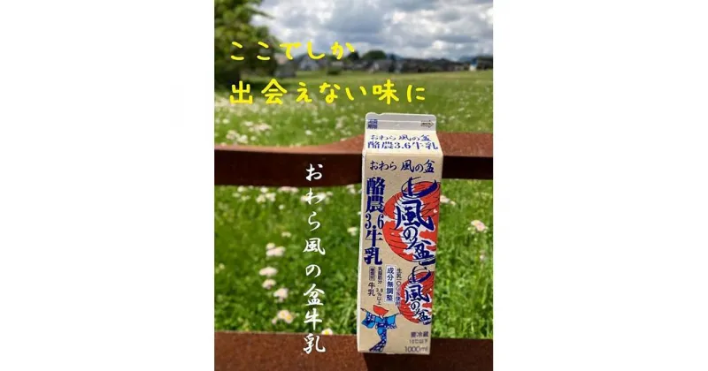 【ふるさと納税】Yatsuo MILK 1L(牛乳)【4本セット】富山八尾の特製おわら牛乳 | 富山県 富山 北陸 ふるさと 納税 楽天ふるさと 返礼品 支援品 特産品 お取り寄せ 取り寄せ ご当地 お土産 ミルク 飲み物 飲料 紙パック パック 朝食 セット 詰め合わせ 美味しい おいしい