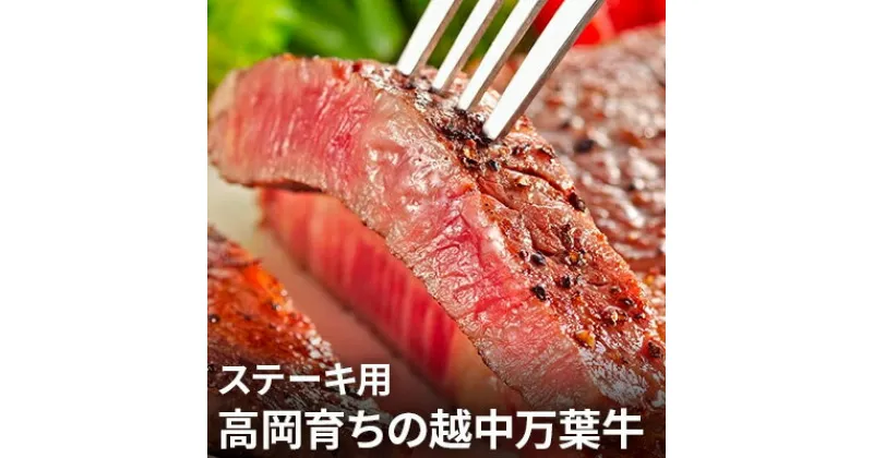 【ふるさと納税】高岡育ちの越中万葉牛 ステーキ用200g～250g×2枚 サーロイン 肉 牛肉 ステーキ 国産 富山　牛肉 お肉 ステーキ用 サーロインステーキ