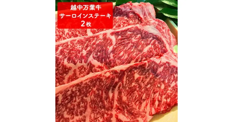 【ふるさと納税】高岡育ちの越中万葉牛 贅沢セット（すき焼き用約350g＋ステーキ用約200～250g×2） サーロイン 牛 肉 ステーキ すきやき スキヤキ 国産 セット　牛肉 お肉 牛肉 お肉 牛肉 お肉