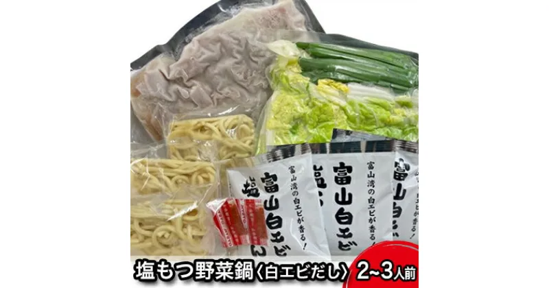 【ふるさと納税】塩もつ野菜鍋〈白エビだし〉（〆らーめん入り）2～3人前　鍋セット モツ鍋 麺家いろは 塩もつ野菜鍋 白エビだし ラーメン 2～3人前 塩スープ セット