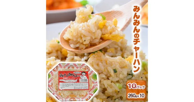 【ふるさと納税】みんみんのチャーハン10パック　餃子専門店　ギョーザ　ぎょうざ　富山　みんみん　 惣菜 中華 冷凍チャーハン お昼ご飯 ランチ 夕飯 夜食 お弁当 レンジ調理 夏休み