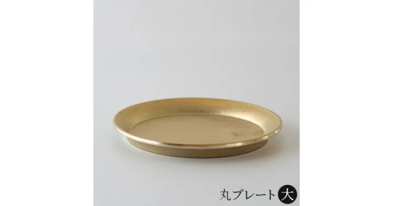 【ふるさと納税】丸プレート 大 FUTAGAMI 工芸品 伝統技術 ギフト 贈り物 プレゼント キッチン用品 キッチン 日用品 万能トレイ 小皿 コースター 受け皿 トレイ トレー インテリア おしゃれ　 高岡市