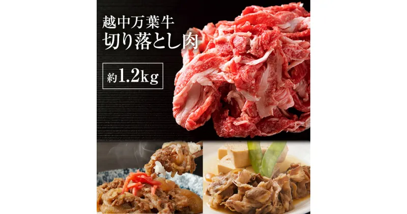 【ふるさと納税】越中万葉牛切り落とし1.2Kg おすすめ 牛肉 すき焼き ボリューム 冷凍 /天狗乃肉林本店/富山県高岡市　高岡市