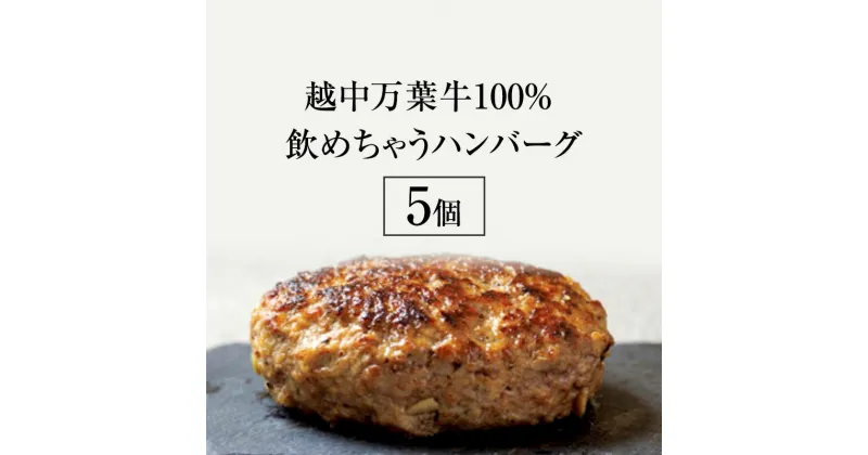 【ふるさと納税】越中万葉牛100％飲めちゃうハンバーグ おすすめ 牛肉 ボリューム 冷凍 焼くだけ /天狗乃肉林本店/富山県高岡市　高岡市