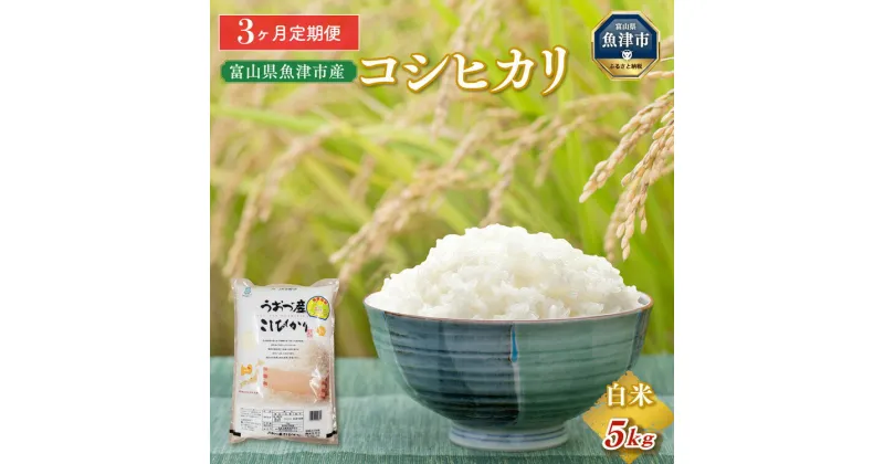 【ふるさと納税】【令和6年度米】【定期便】5kg×3ヶ月定期便　富山県うおづ産米コシヒカリ 白米 富山米 ※2024年10月中旬頃より順次発送予定 ※北海道、沖縄、離島配送不可