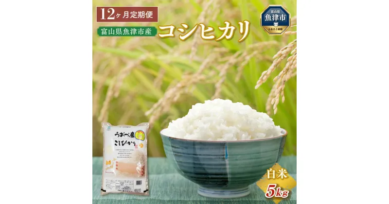 【ふるさと納税】【令和6年度米】【定期便】米 5kg 12ヶ月 コシヒカリ 富山 魚津産 ※2024年10月中旬頃より順次発送予定 ※北海道、沖縄、離島配送不可