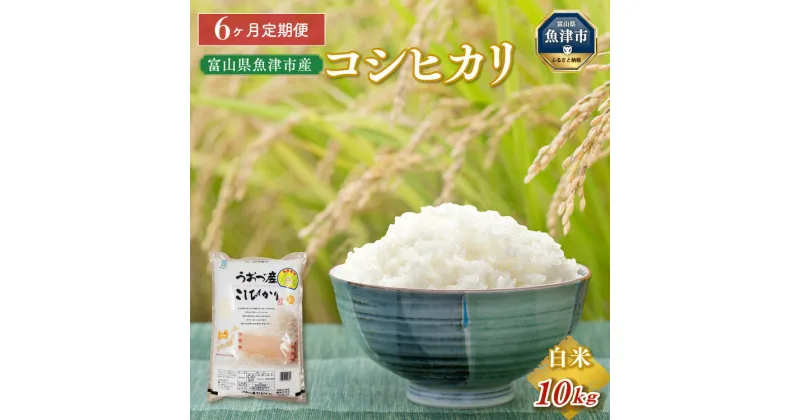 【ふるさと納税】【令和6年度米】【定期便】米 10kg (5kg×2袋) 6ヶ月 コシヒカリ 富山 魚津産 ※2024年10月中旬頃より順次発送予定 ※北海道、沖縄、離島配送不可