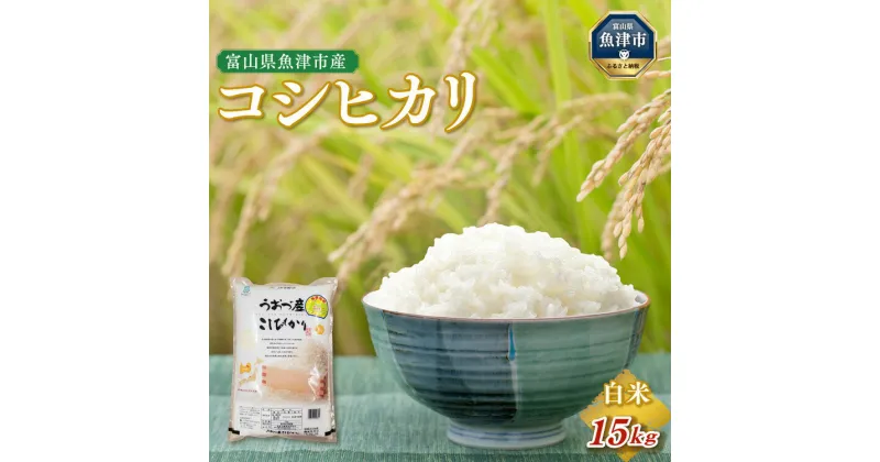 【ふるさと納税】【令和6年度米】米 コシヒカリ 15kg (5kg×3袋) ※2024年10月中旬頃より順次発送予定 ※北海道、沖縄、離島配送不可