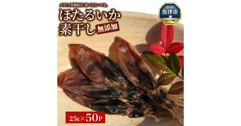 【ふるさと納税】【大量シェア】ホタルイカ素干1.25kg（25g×50袋）：浜浦水産シェアセット【加工食品・魚貝類・干物】