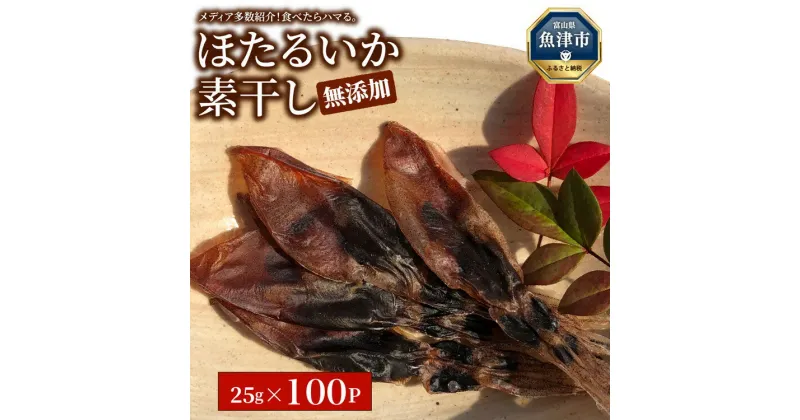 【ふるさと納税】【大量シェア】ホタルイカ素干2.5kg（25g×100袋）：浜浦水産シェアセット【加工食品・魚貝類・干物】