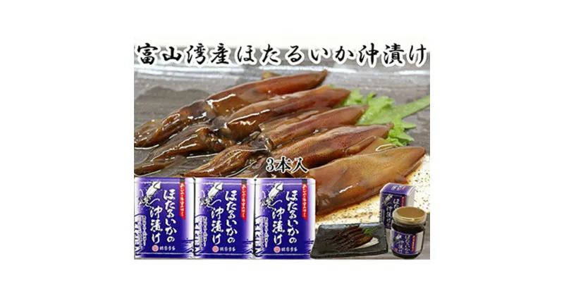 【ふるさと納税】ほたるいか沖漬 3本セット【魚貝類・加工食品・ほたるいか・ホタルイカ】