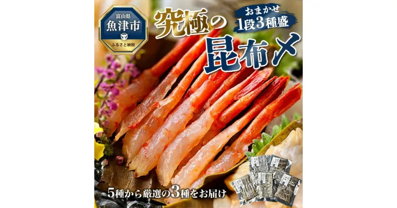 【ふるさと納税】究極の昆布〆、お任せ1段3種盛（急速冷凍品）魚卸問屋はりたや 富山県魚津市 昆布締め こぶじめ 刺身 天然昆布【 魚貝類 加工食品 郷土料理 新鮮素材 高級真昆布つまみ 一品料理 肴 お酒のあて 】 ※北海道・沖縄・離島への配送不可