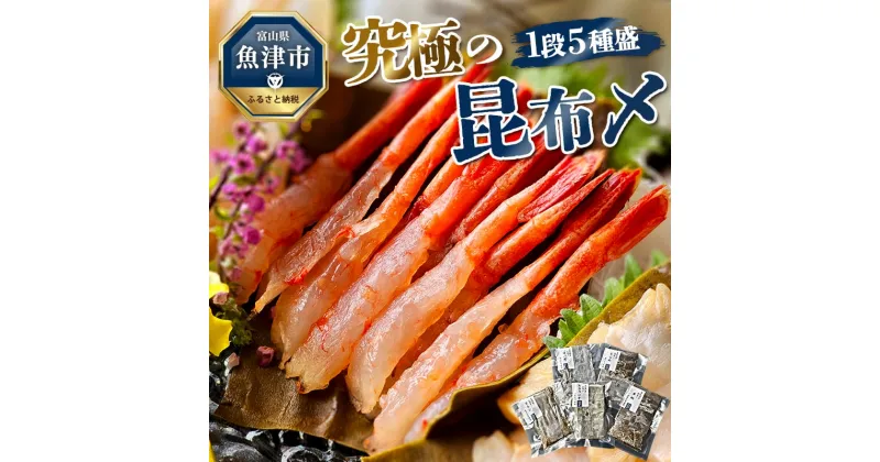 【ふるさと納税】究極の昆布〆、1段5種盛（急速冷凍品）魚卸問屋はりたや 富山県魚津市 昆布締め こぶじめ 刺身 天然昆布　【 魚貝類 つまみ 一品料理 肴 お酒のあて 自家製昆布〆 鮮度 最高級昆布使用】 ※北海道・沖縄・離島への配送不可