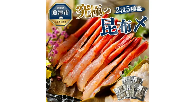 【ふるさと納税】究極の昆布〆、2段5種盛（急速冷凍品）魚卸問屋はりたや 富山県魚津市 昆布締め こぶじめ 刺身 天然昆布　【 魚貝類 つまみ 一品料理 肴 お酒のあて 自家製昆布〆 鮮度 最高級昆布使用 】 ※北海道・沖縄・離島への配送不可