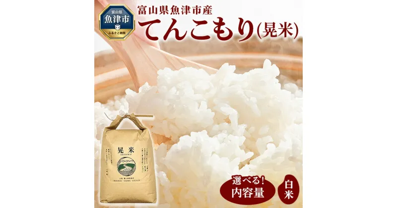 【ふるさと納税】＼選べる内容量／【令和6年度米】環境配慮「魚津のてんこもり（晃米）」（白米） ｜ MK農産 白米 銘柄米 ご飯 おにぎり お弁当 和食 主食 国産 産地直送 甘み 香り もちもち ※2024年10月下旬頃より順次発送予定 ※北海道・沖縄・離島への配送不可