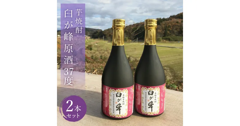 【ふるさと納税】芋焼酎 臼が峰原酒（37度）2本セット | 焼酎 芋焼酎 さつまいも 黄金千貫 原酒 お酒 お取り寄せ 本格焼酎 いも焼酎 家飲み 富山 氷見