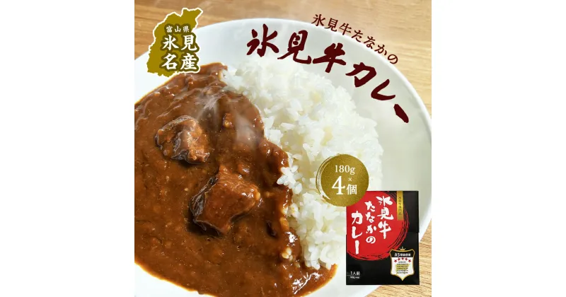 【ふるさと納税】 氷見牛たなかのカレー　180g×4個セット 富山県 氷見市 カレー 牛肉 惣菜 加工品 レトルト 4人前 720g