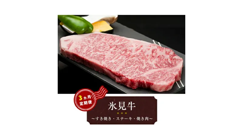 【ふるさと納税】氷見牛　3ヶ月連続お届け　【定期便・牛肉・お肉】