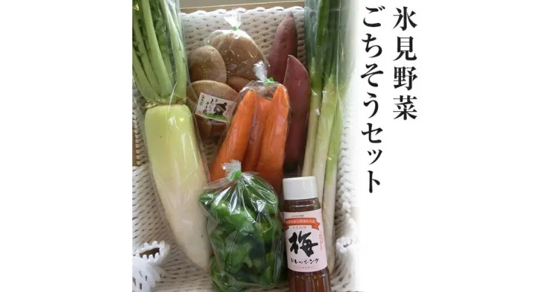 【ふるさと納税】氷見野菜ごちそうセット