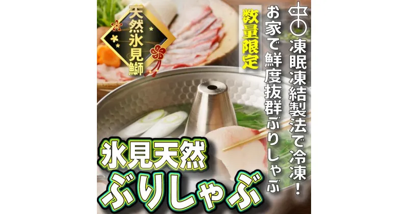 【ふるさと納税】《220g か 150g 選べる》 天然！氷見産 ぶり しゃぶしゃぶ 用 冷凍 鰤 〈冷凍〉｜ 鰤 冷凍 凍眠凍結 ぶりしゃぶ 鰤 国産 天然 ブリ ブリしゃぶ しゃぶしゃぶ 国産 寒ぶり 天然 寒ブリ 富山 氷見 お取り寄せ 特産品 海鮮鍋 ギフト