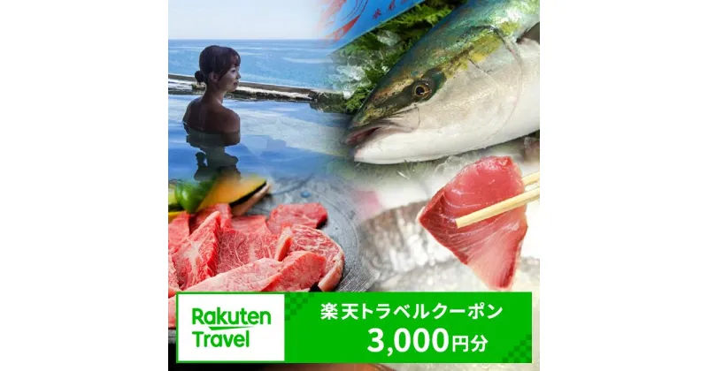 【ふるさと納税】 富山県氷見市の対象施設で使える　楽天トラベルクーポン　寄付額10,000円(クーポン3,000円) |　氷見 富山 宿泊 温泉 ホテル 民宿