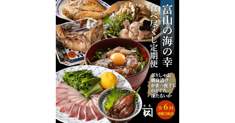 【ふるさと納税】 《奇数月 6回 定期便》富山湾食べ尽くし定期便 富山県 氷見市 定期便 冷凍 富山湾 産地直送 加工食品 鰤 魚介 あんこう 昆布締め