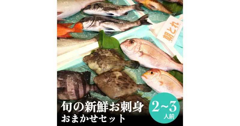 【ふるさと納税】氷見漁港朝どれ！旬の新鮮お刺身おまかせセット 2〜3人前 富山県 氷見市 刺身 詰合せ