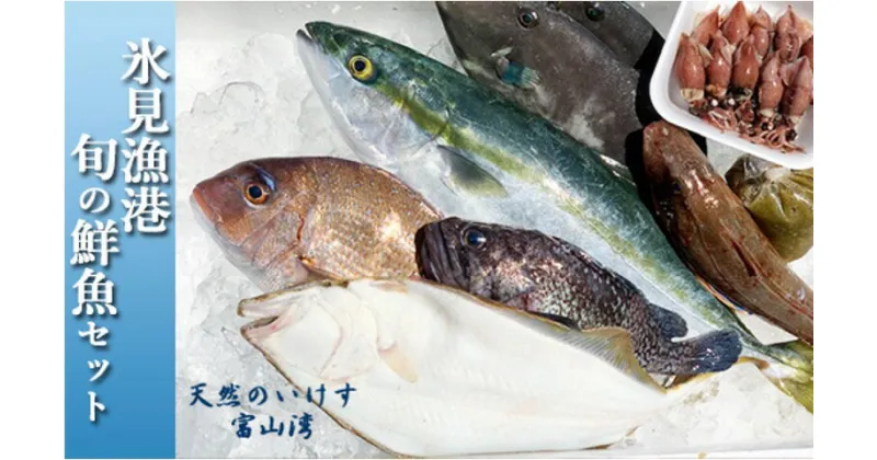 【ふるさと納税】天然のいけす 富山湾 氷見漁港 旬の鮮魚セット※配送地域限定 直送 鮮魚ボックス 富山 氷見 詰め合わせ