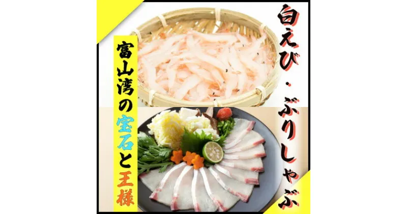 【ふるさと納税】 鮮度そのまま！『ぶり、白えび』生冷凍セット 富山県 氷見市 ブリ 白エビ 冷凍 凍眠凍結 魚 加工品 セット