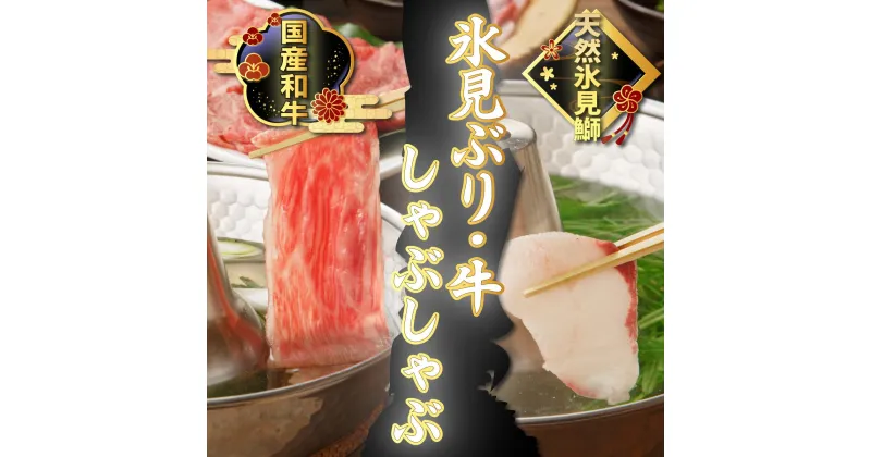 【ふるさと納税】 氷見産天然ぶり・氷見牛で氷見しゃぶしゃぶセット 富山県 氷見市 ぶりしゃぶ 鰤 牛 肉 冷凍 凍眠凍結 氷見牛 国産牛 しゃぶしゃぶ セット