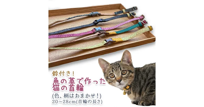 【ふるさと納税】 鈴付き！魚の革で作った猫の首輪（色、柄はおまかせ！） 富山県 氷見市 革 加工品 猫 くびわ 20 cm ～ 28 cm