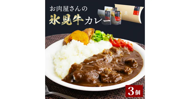 【ふるさと納税】お肉屋さんの氷見牛カレー3個入 富山県 氷見市 惣菜 牛 肉 加工品 カレー