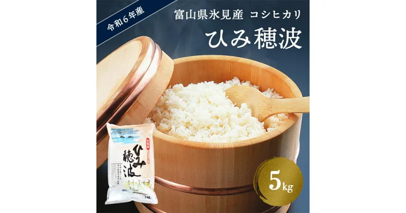 【ふるさと納税】令和6年産 富山県 氷見産 コシヒカリ 《ひみ穂波》 5kg ＜10月以降順次発送＞ 富山県 氷見市 米 こしひかり 5kg