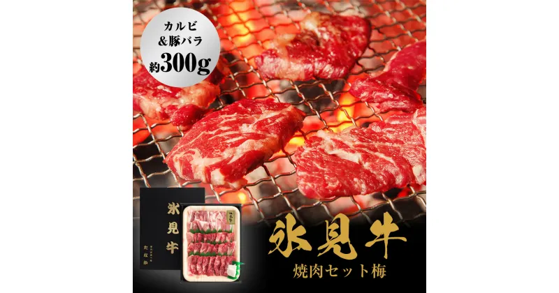 【ふるさと納税】 発送時期が選べる 氷見牛焼肉セット梅（カルビ＆豚バラ約300g） 富山県 氷見市 牛 肉 豚肉 焼肉 BBQ セット