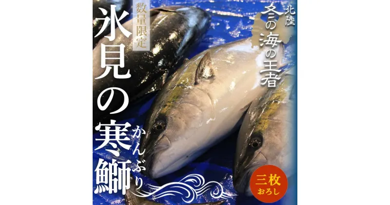 【ふるさと納税】＜先行予約＞ 天然 寒鰤 『ひみ寒ぶり』 一本丸ごと！（三枚おろし）※配送エリア限定※ 富山 湾 寒ブリ 鰤 氷見 能登 国産 寒鰤