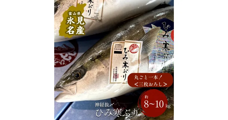 【ふるさと納税】 ＜先行予約＞ ひみ寒ぶり朝どれ1本＜三枚おろし＞（神経抜〆8～10kg） ｜富山湾 氷見 氷見漁港 能登 寒ブリ 1本 天然鰤 天然 鮮魚 ブリ 産地直送 期間限定