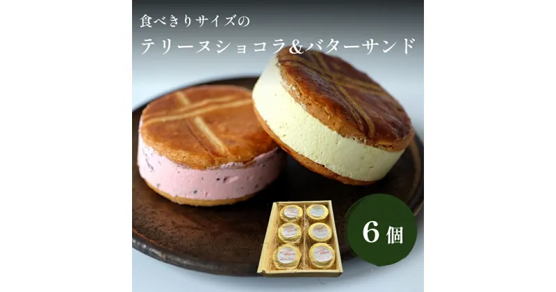 【ふるさと納税】食べきりサイズのテリーヌ&バターサンド6個セット パティスリーシュン | バタークッキー バタークリーム バターサンド 味はお任せ 5個 チョコレート テリーヌ 冷凍 スイーツ 洋菓子 菓子 詰め合わせ お取り寄せ 富山 氷見