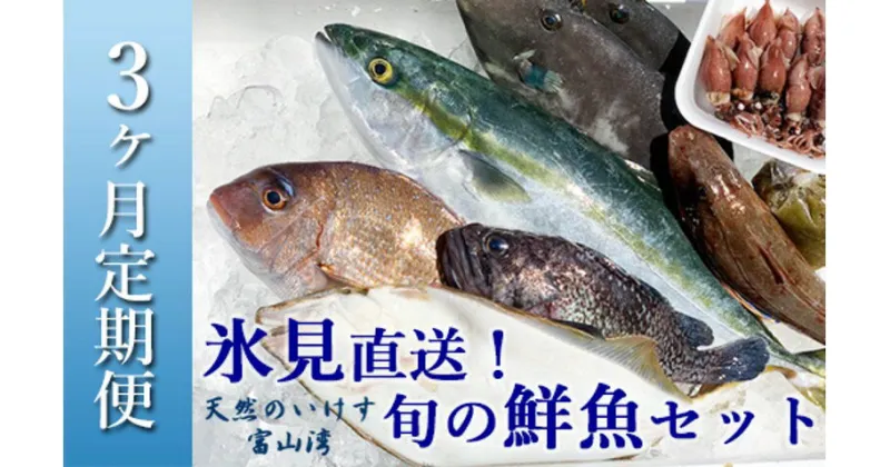 【ふるさと納税】〈3ヶ月定期便〉天然のいけす 富山湾 氷見漁港直送！ 旬の鮮魚セット 直送 鮮魚ボックス 富山 氷見 詰め合わせ